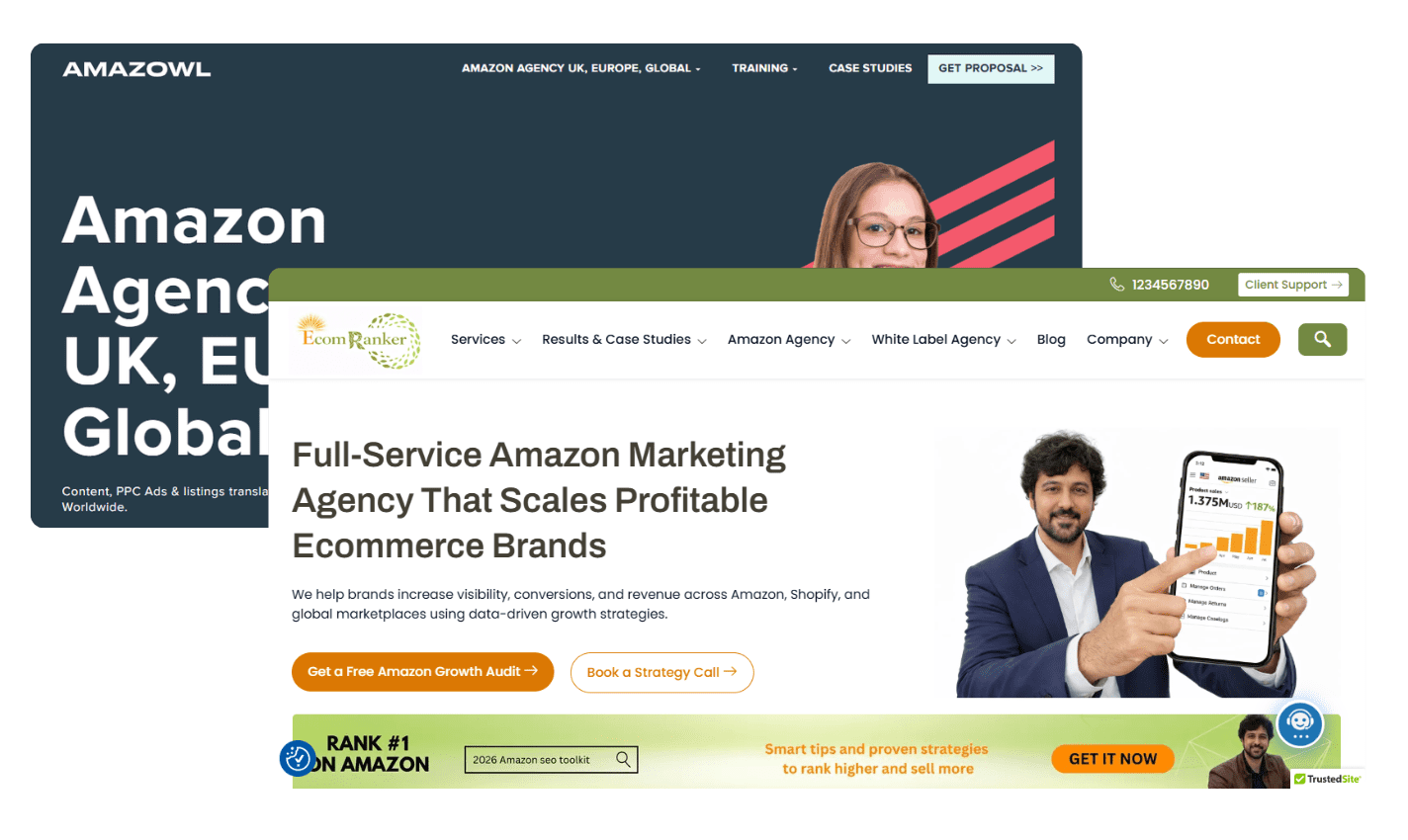Ecom Ranker vs Amazowl