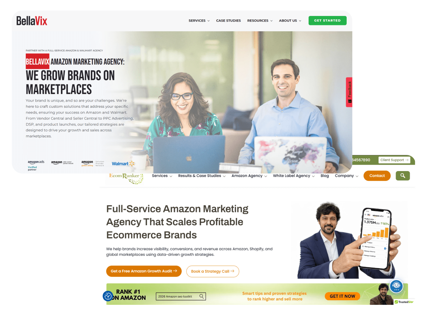 Ecom Ranker vs BellaVix