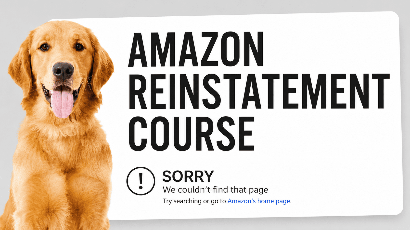 Friendly dog with error message banner