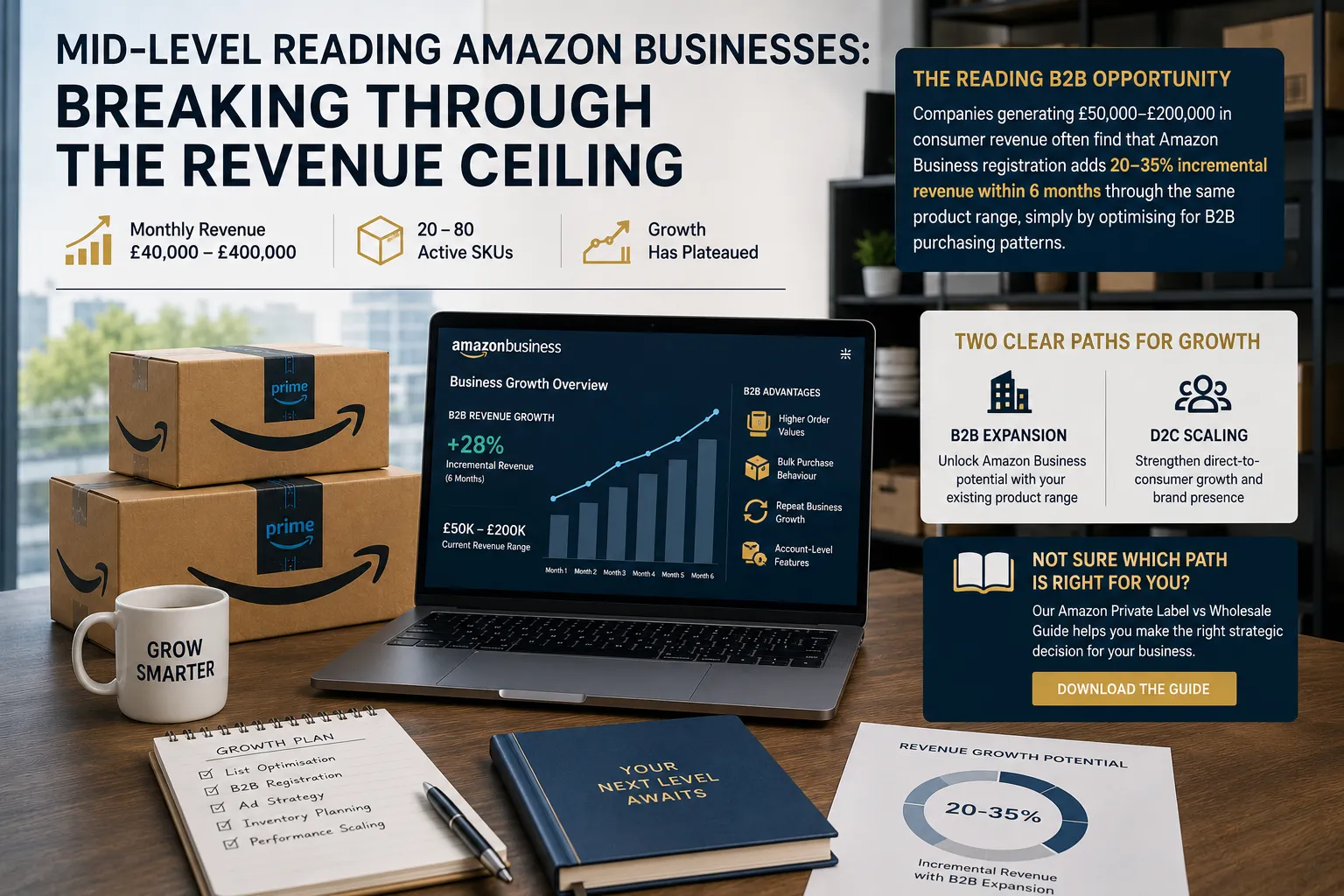 Mid-Level Reading Amazon Businesses