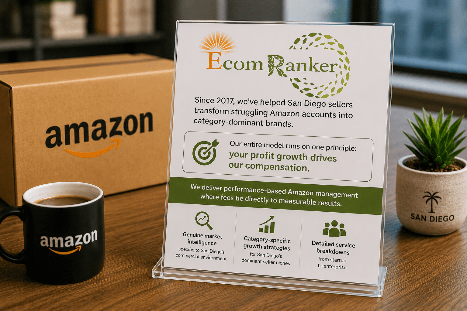 Professional EcomRanker marketing scene